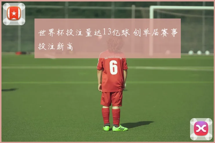 世界杯投注量达13亿球 创单届赛事投注新高