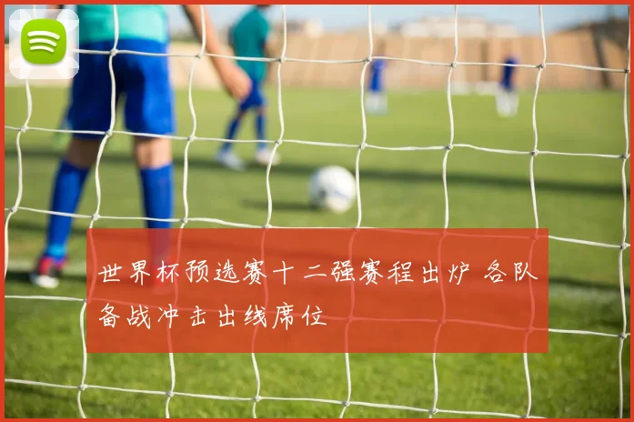世界杯预选赛十二强赛程出炉 各队备战冲击出线席位