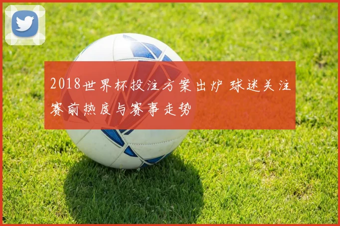 2018世界杯投注方案出炉 球迷关注赛前热度与赛事走势