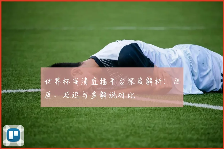 世界杯高清直播平台深度解析:画质、延迟与多解说对比