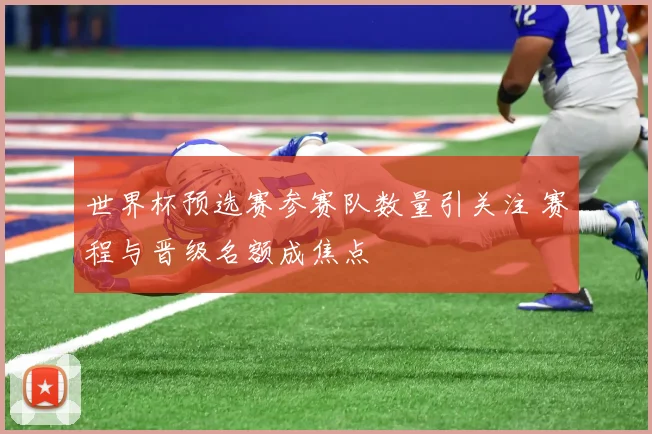 世界杯预选赛参赛队数量引关注 赛程与晋级名额成焦点
