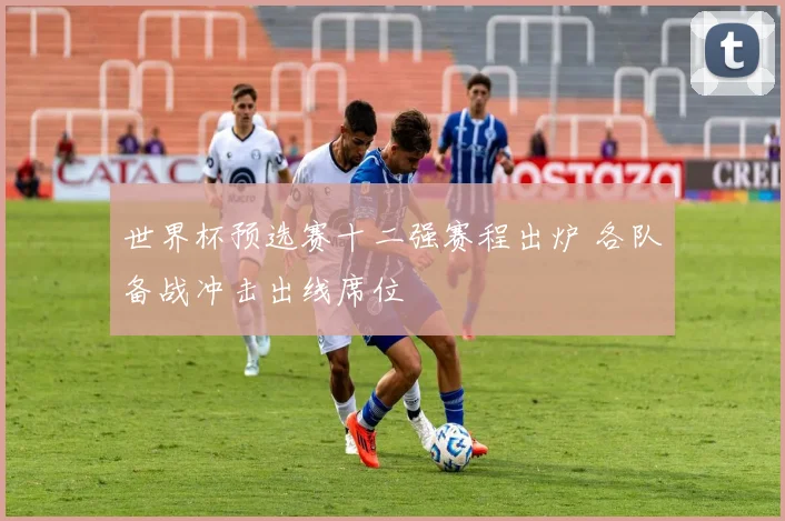 世界杯预选赛十二强赛程出炉 各队备战冲击出线席位