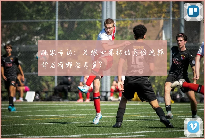独家专访：足球世界杯的月份选择背后有哪些考量？