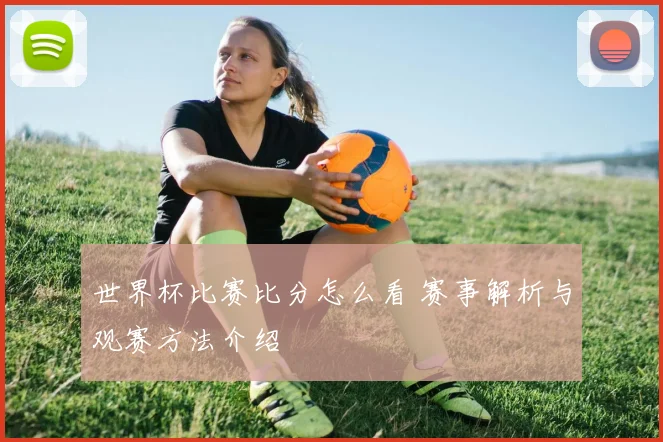 世界杯比赛比分怎么看 赛事解析与观赛方法介绍