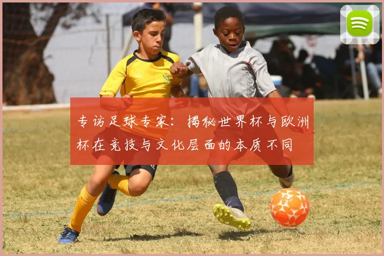 专访足球专家：揭秘世界杯与欧洲杯在竞技与文化层面的本质不同