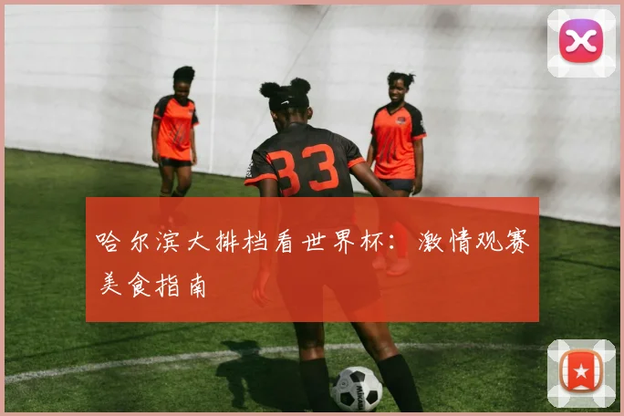 哈尔滨大排档看世界杯：激情观赛美食指南