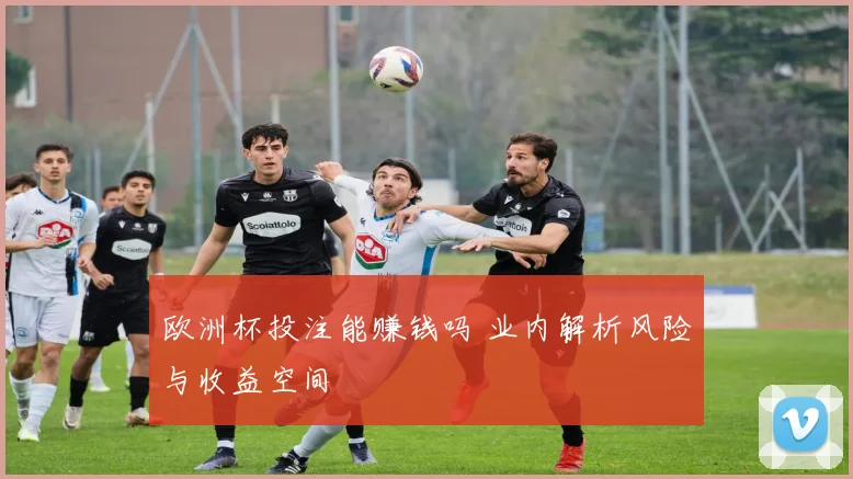 欧洲杯投注能赚钱吗 业内解析风险与收益空间