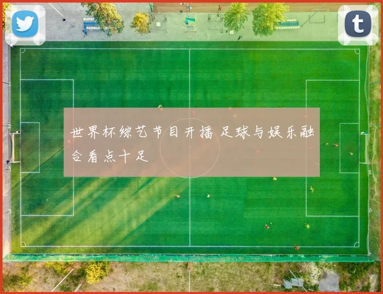 世界杯综艺节目开播 足球与娱乐融合看点十足