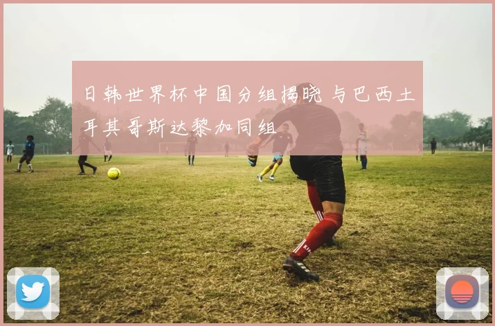 日韩世界杯中国分组揭晓 与巴西土耳其哥斯达黎加同组